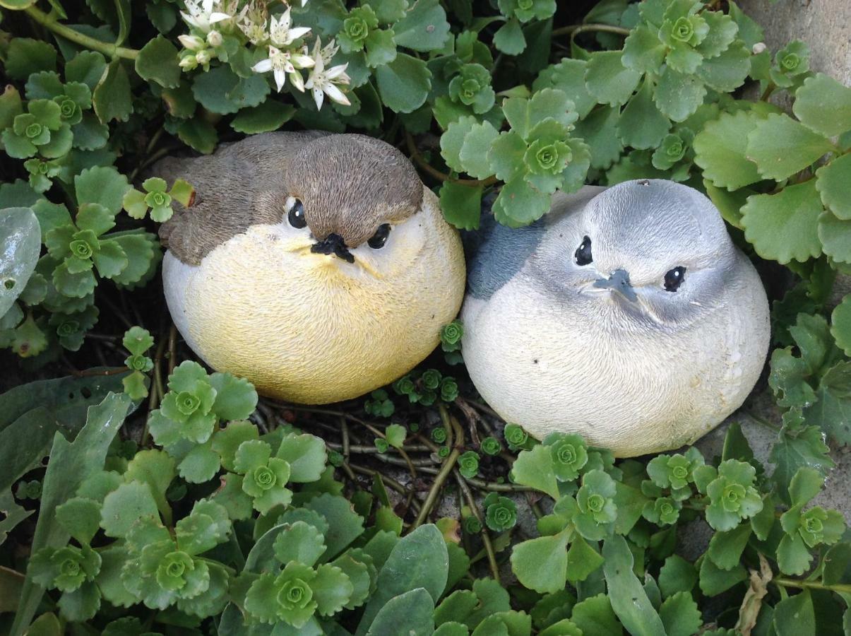 グリース・イム・ゼルライン Krapfhofヴィラ エクステリア 写真
